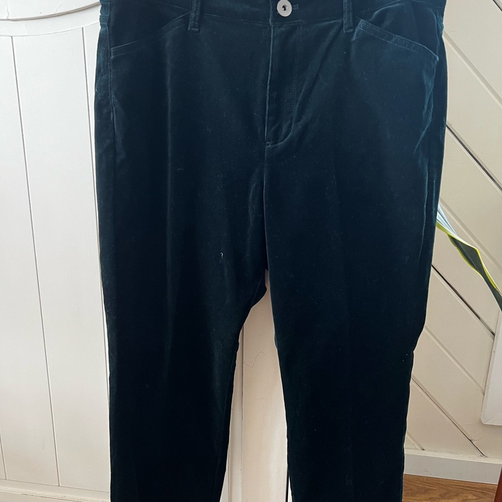 J Jill gorgeous dark green velvet jeans . 12 petite